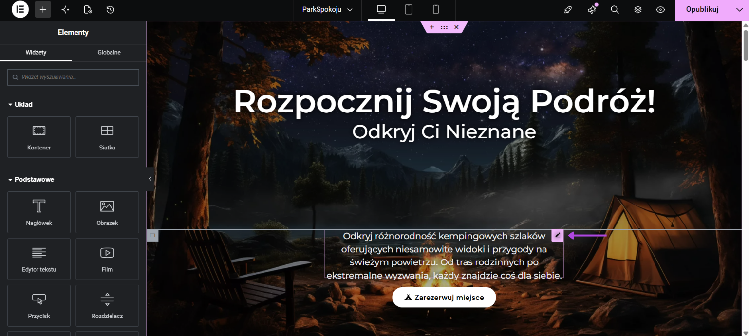 Zrzut ekranu z trybu edycji w Elementorze z zaznaczonym przyciskiem edycji tekstu znajdującym się w polu z tekstem.